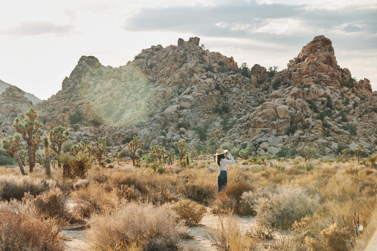 Field Station Joshua Tree Hotel Yucca Valley Ngoại thất bức ảnh